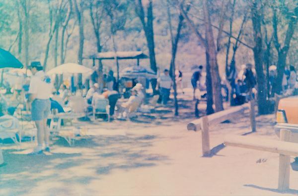 album Kodacolor Gold 100